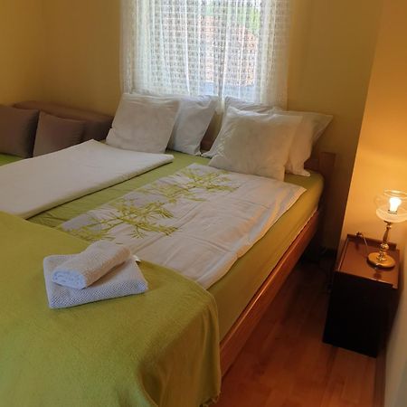 Apartman Sasa Banja Koviljača Esterno foto