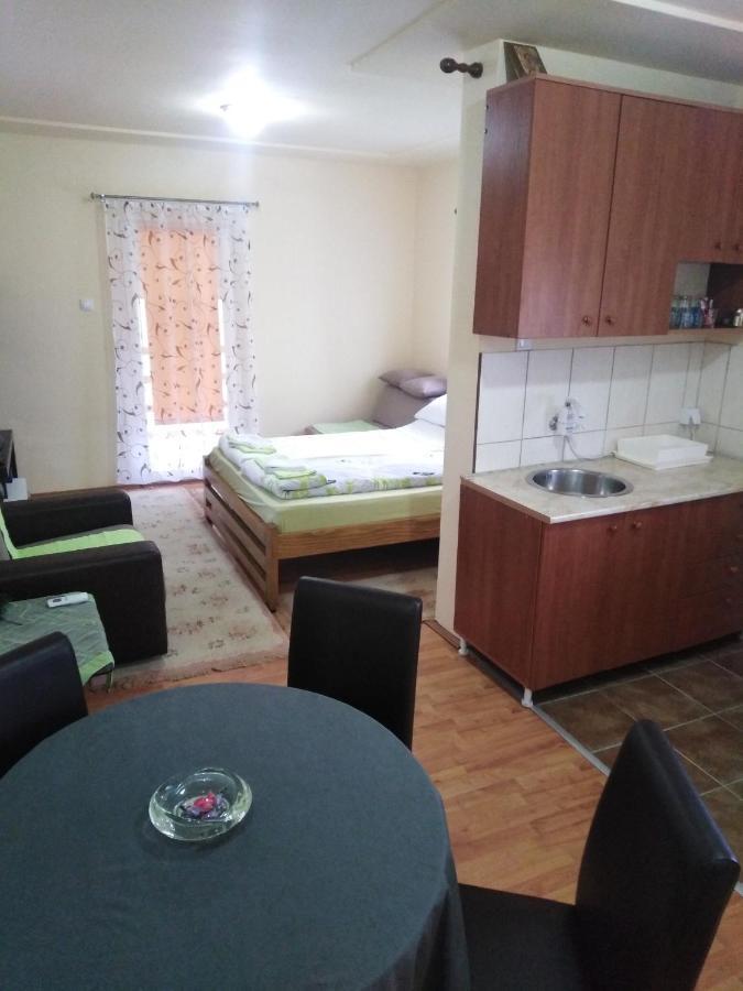 Apartman Sasa Banja Koviljača Esterno foto