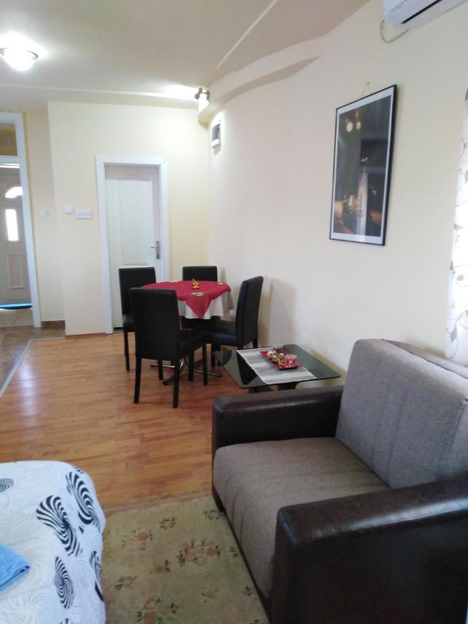 Apartman Sasa Banja Koviljača Esterno foto