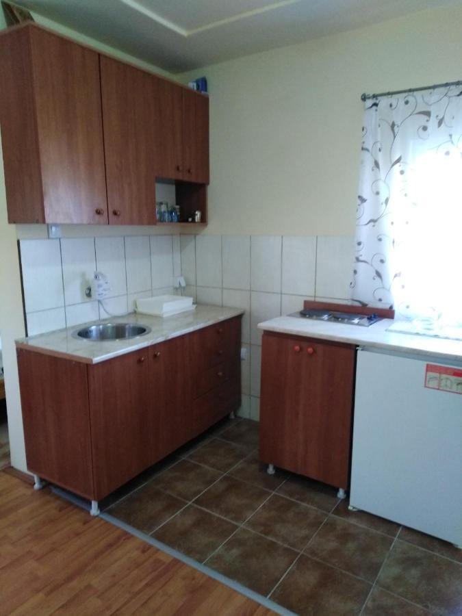 Apartman Sasa Banja Koviljača Esterno foto
