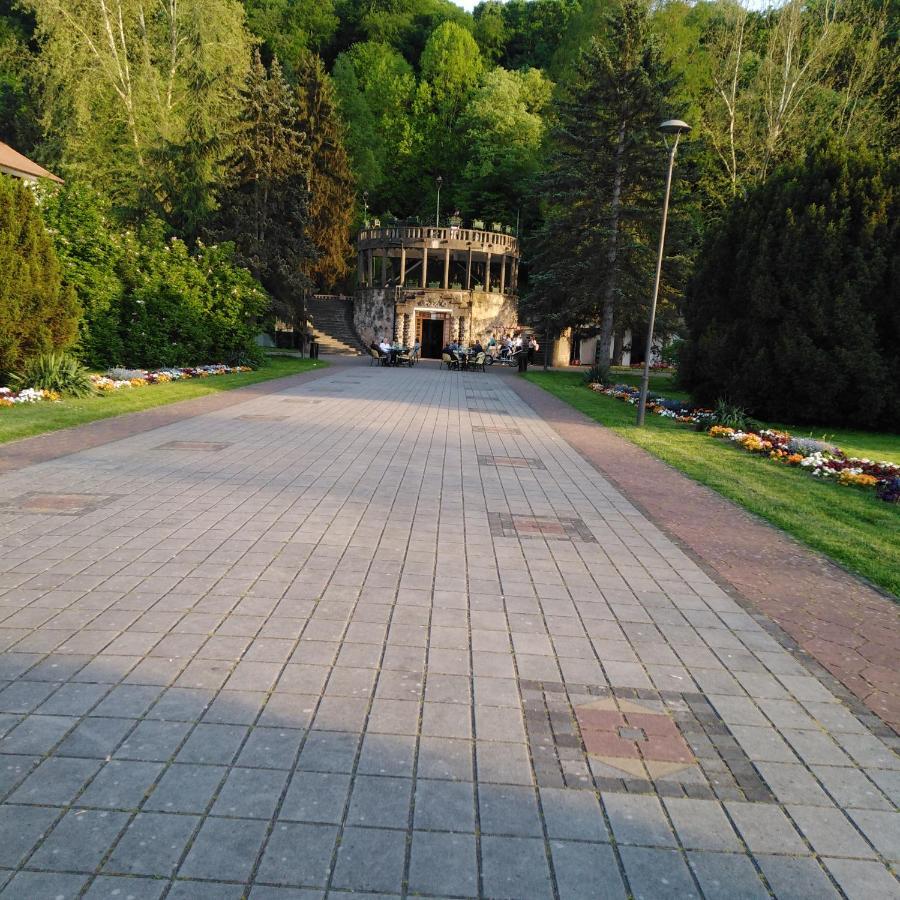 Apartman Sasa Banja Koviljača Esterno foto